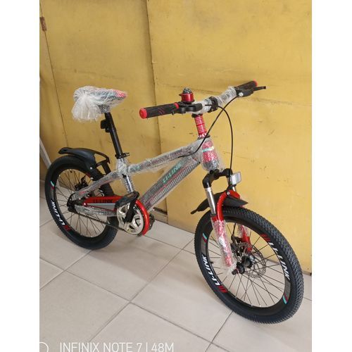 L Link Sports Size 20 Bike With Carrier
