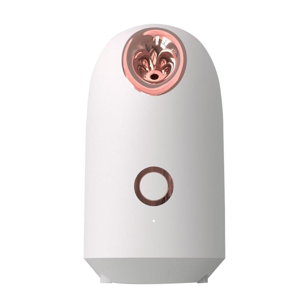 Professional Desktop Facial Steamer Spa Salon Skin Beauty Suana Clean