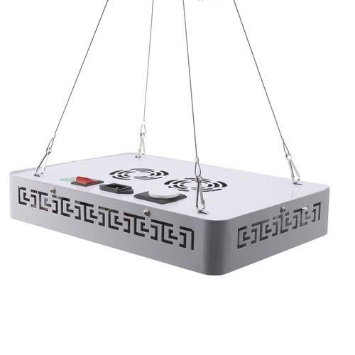 Storage Box Mysterious Treasure Chest Adult