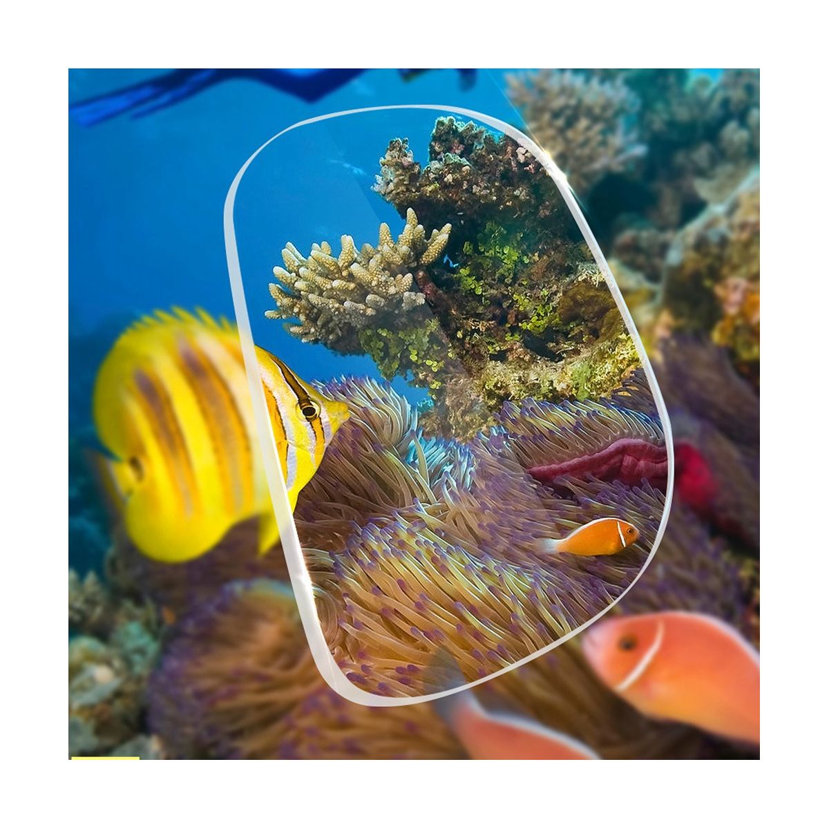 Dive Snorkel Mask Scuba Gear Masks Goggles for Scuba