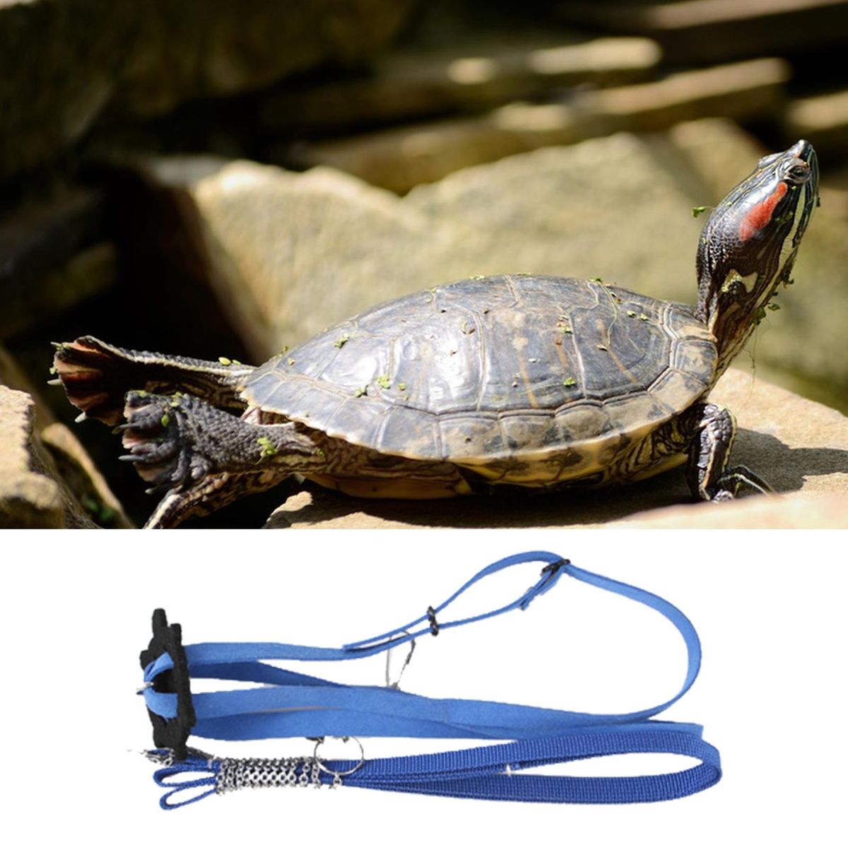 Tortoise Traction Rope Pet Harness Reptile Leash Turtle Lizard Traction Rope Blue