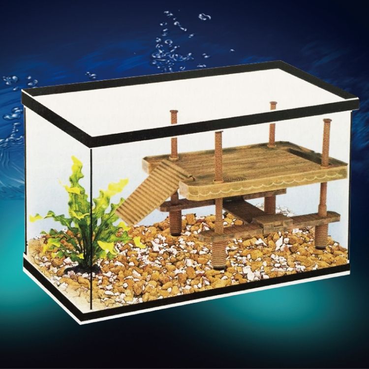 Turtle Tank Tandscape