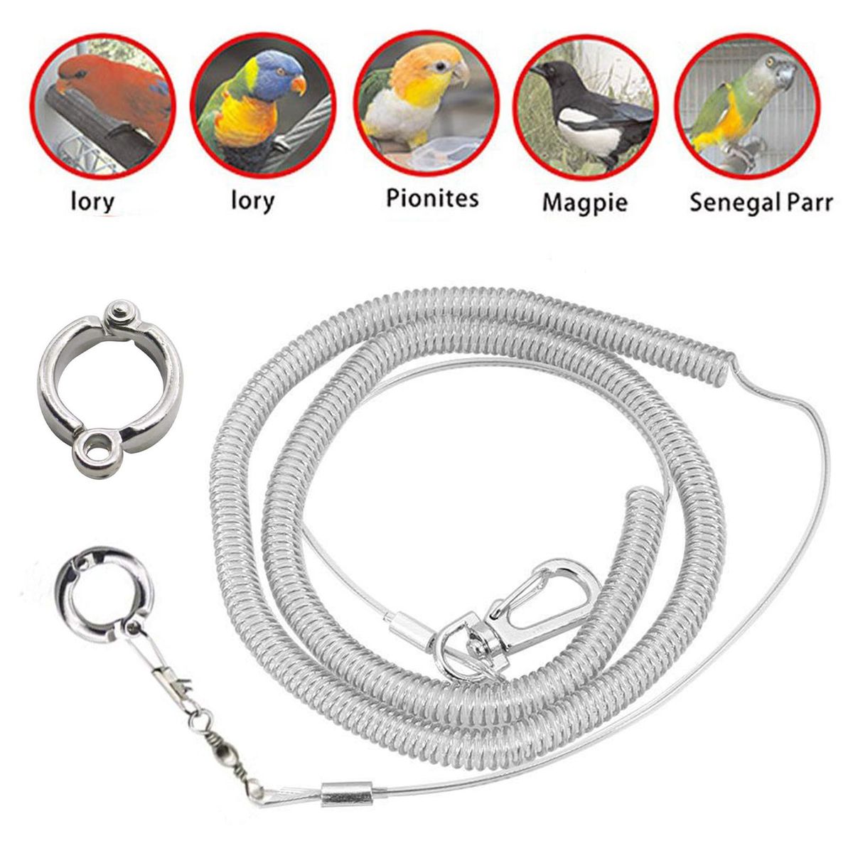 Bird Harness Leash Parrot Bird Flying Training Leash