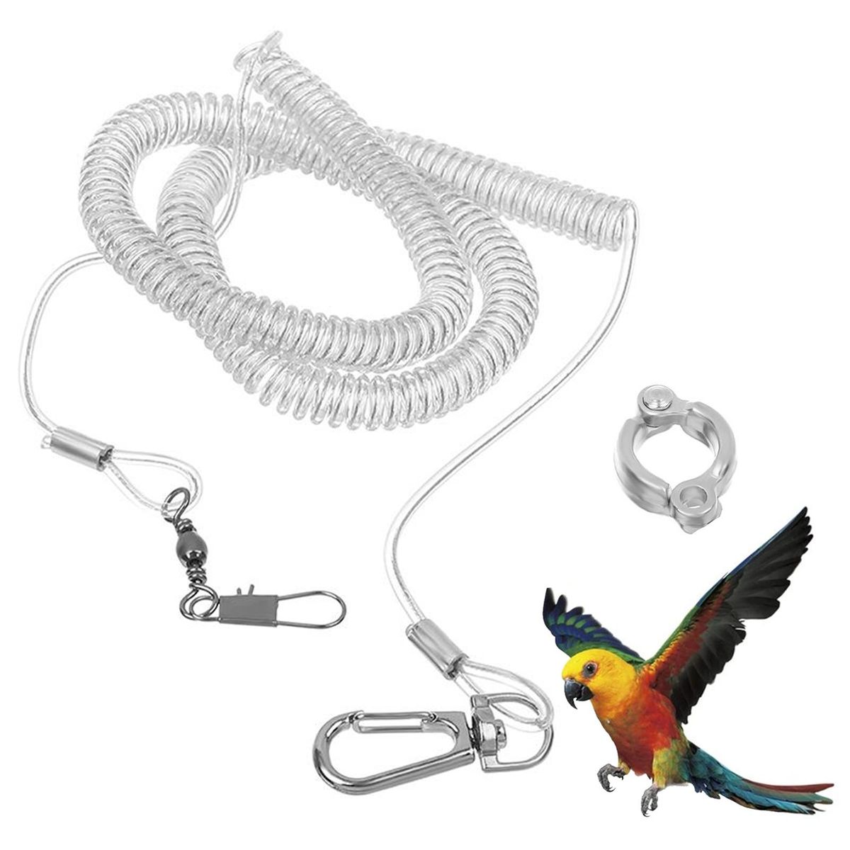 Bird Harness Leash Parrot Bird Flying Training Leash