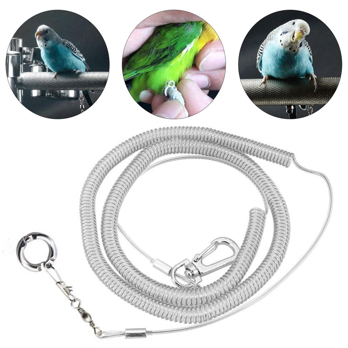Bird Harness Leash Parrot Bird Flying Training Leash