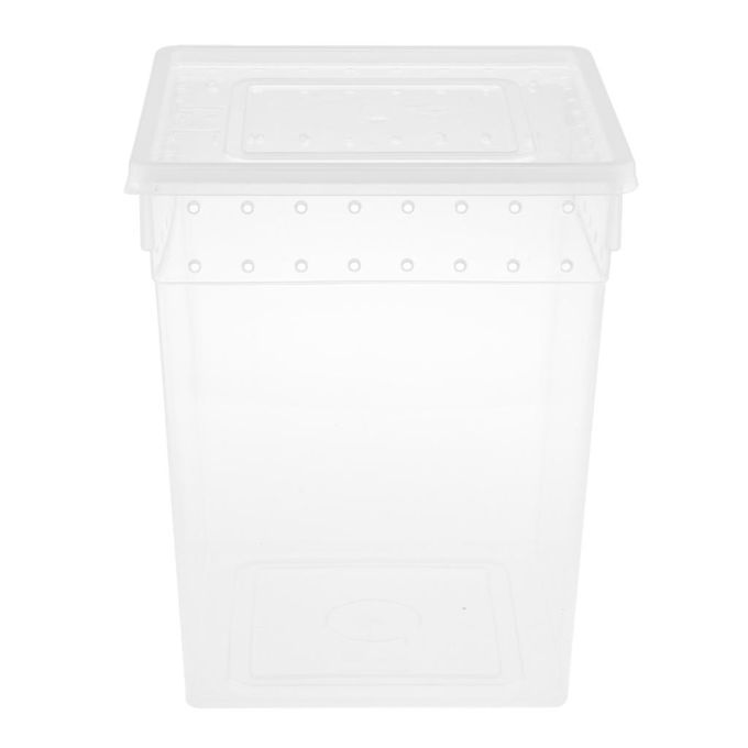 Clear Plastic Insect Breeding Box Reptile Gecko Lizard Spider Feeding