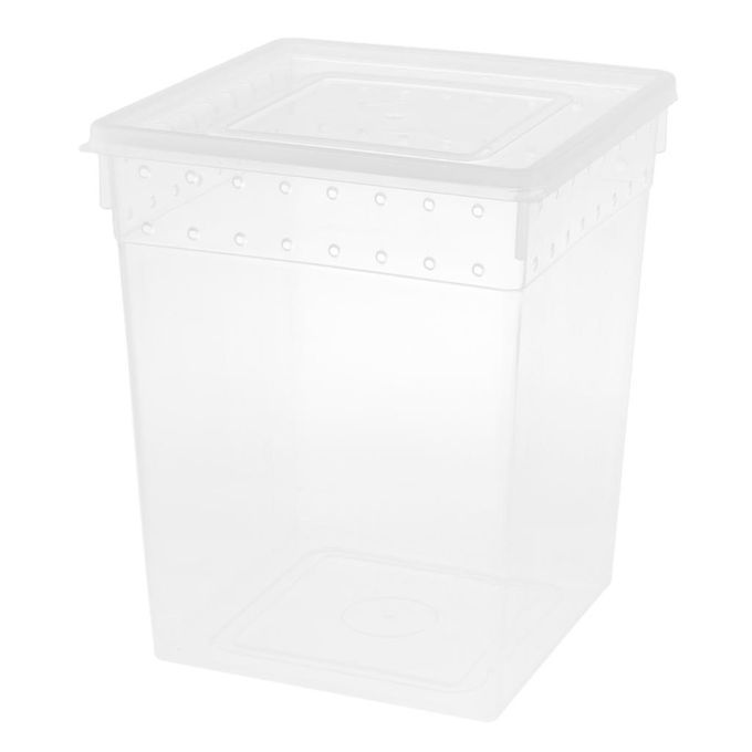 Clear Plastic Insect Breeding Box Reptile Gecko Lizard Spider Feeding