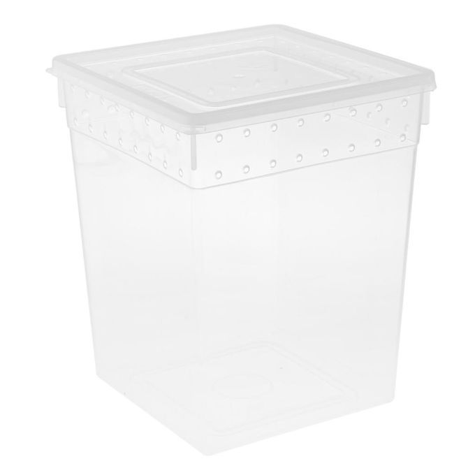 Clear Plastic Insect Breeding Box Reptile Gecko Lizard Spider Feeding