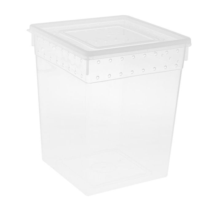Clear Plastic Insect Breeding Box Reptile Gecko Lizard Spider Feeding