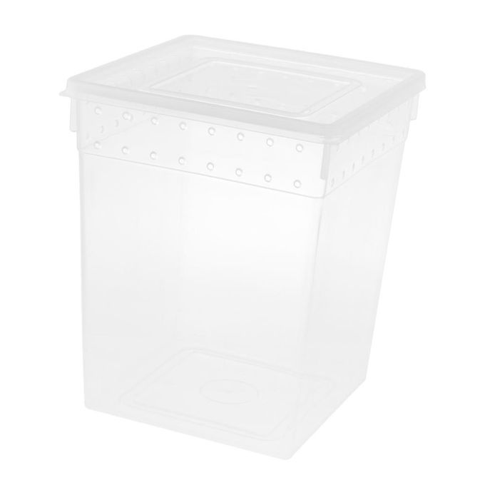 Clear Plastic Insect Breeding Box Reptile Gecko Lizard Spider Feeding