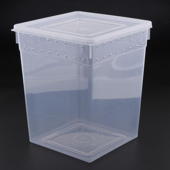 Clear Plastic Insect Breeding Box Reptile Gecko Lizard Spider Feeding