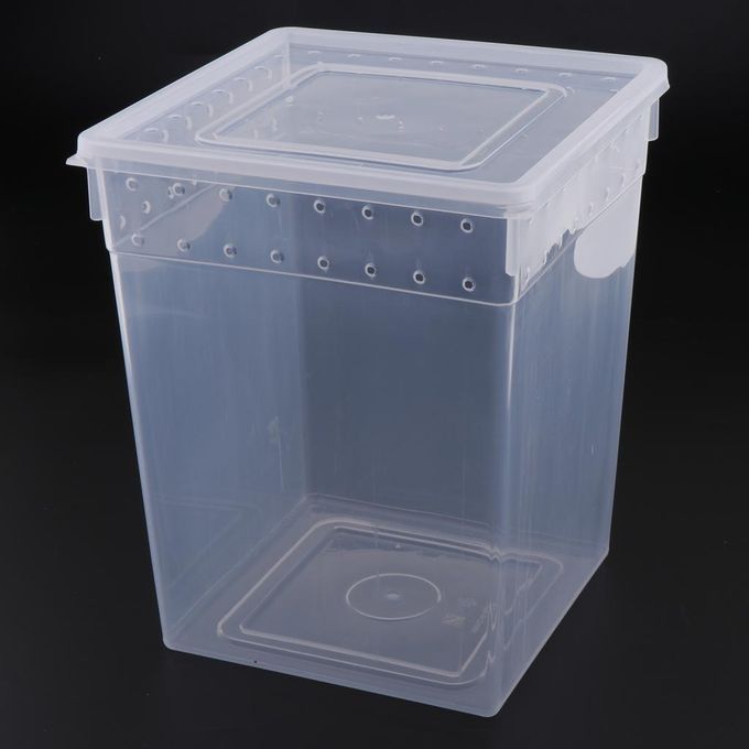 Clear Plastic Insect Breeding Box Reptile Gecko Lizard Spider Feeding