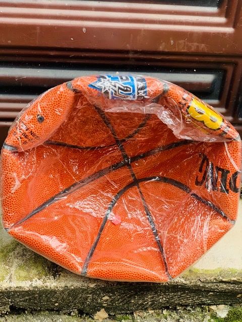Professional Basket Ball