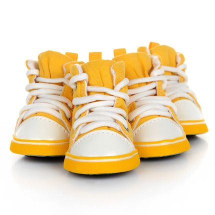 Dog Canvas Shoes Pet Supplies Product