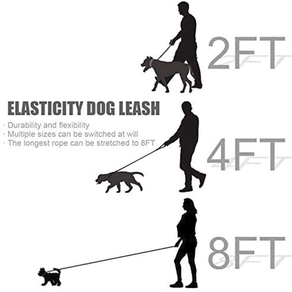 Dog Leash, Elastic Dog Leash, Small and Medium-Sized Dog Lea