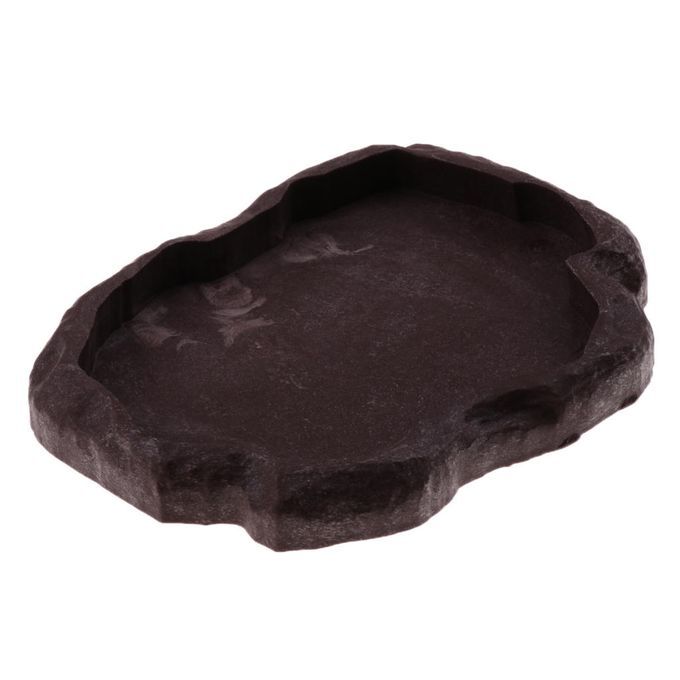 Pet Reptile Tortoise Drink Bottle Bowl Food Water Dispenser Brown M