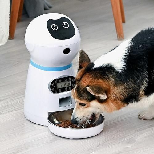 Automatic Pet Feeders Robot With Voice Record Stainless Steel Dog Food Bowl Auto Cat LCD Screen Timer Food Dispenser Newest