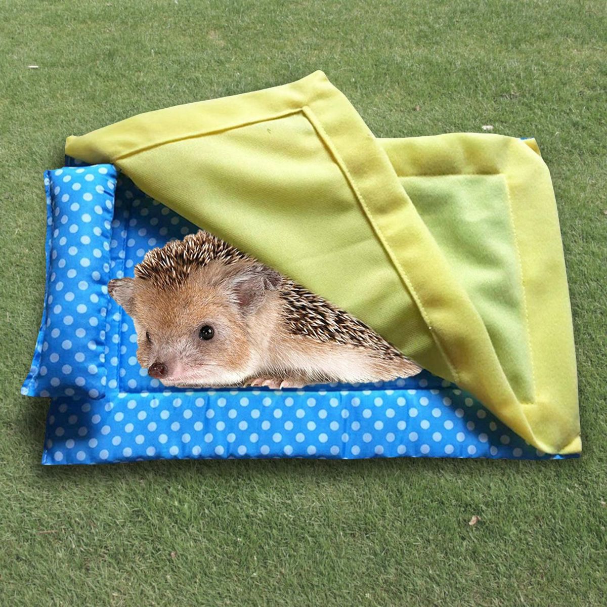 Reptile Sleeping Bag With Blanket Pillow Cage Nap Mat For Bearded Blue