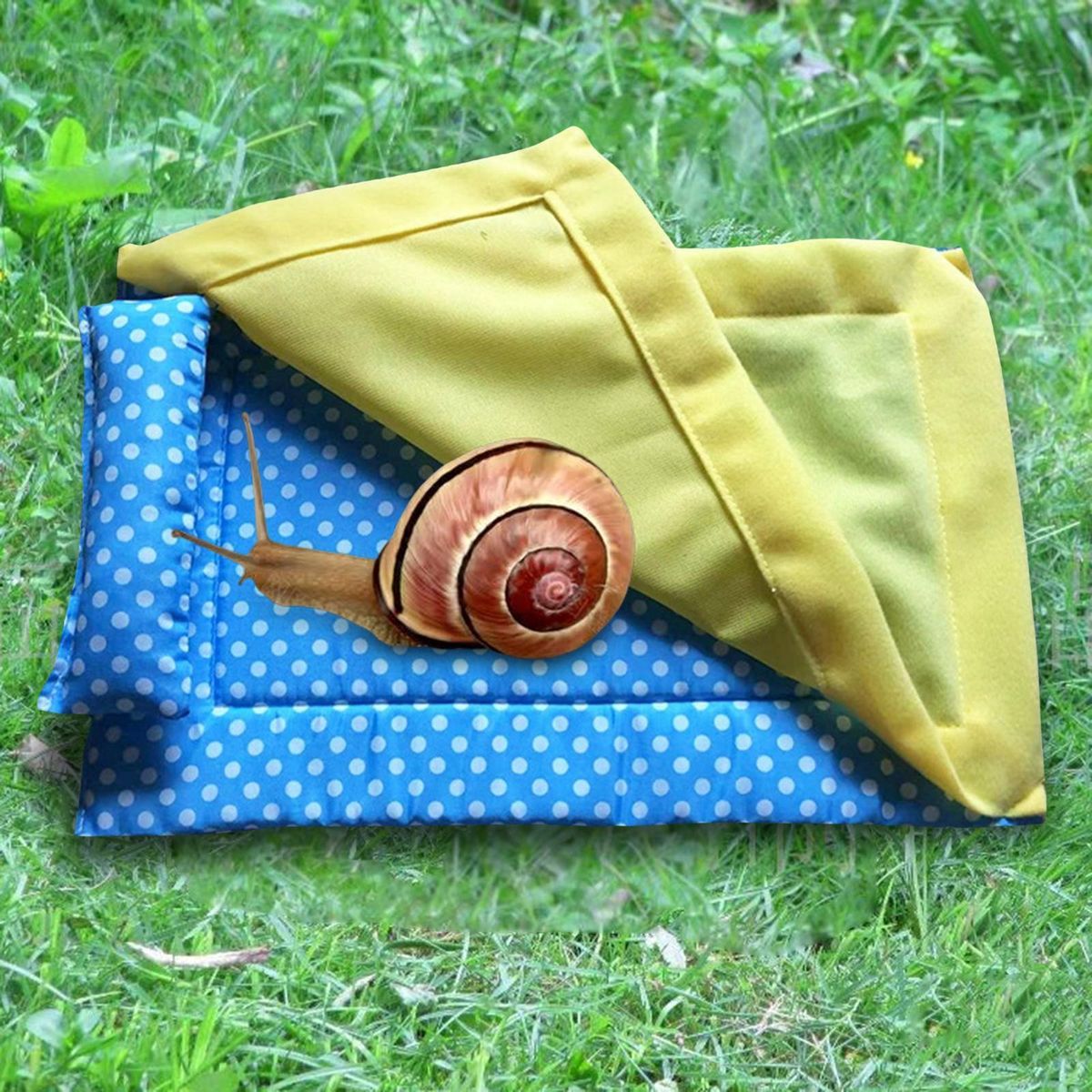 Reptile Sleeping Bag With Blanket Pillow Cage Nap Mat For Bearded Blue