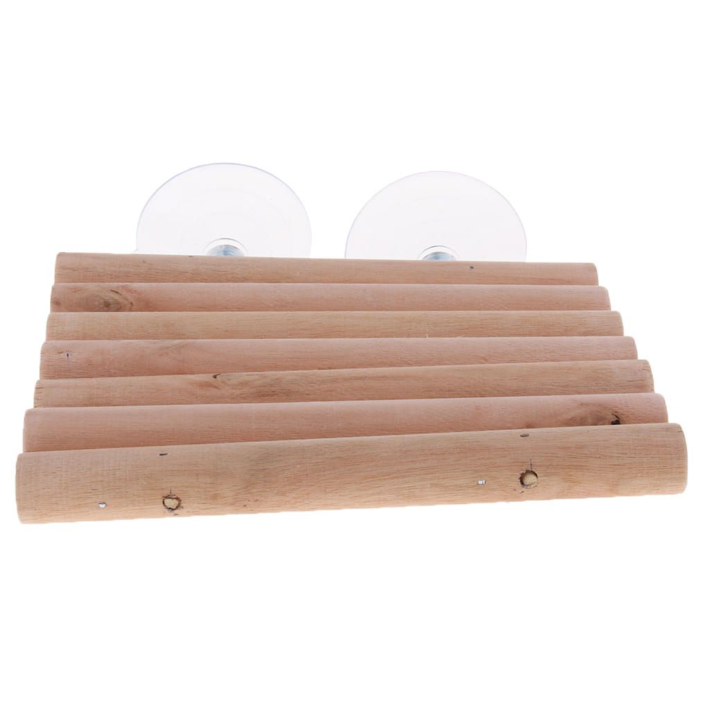 Reptile Turtle Basking Terrace Frog Wooden Pier Floating