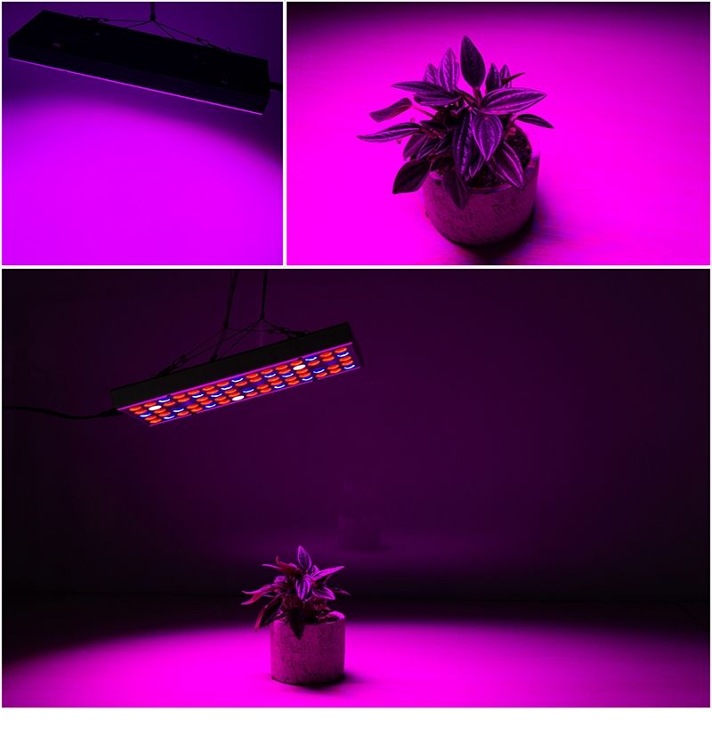 75LEDs Full Spectrum Plant Lighting LED Grow Light For Plant