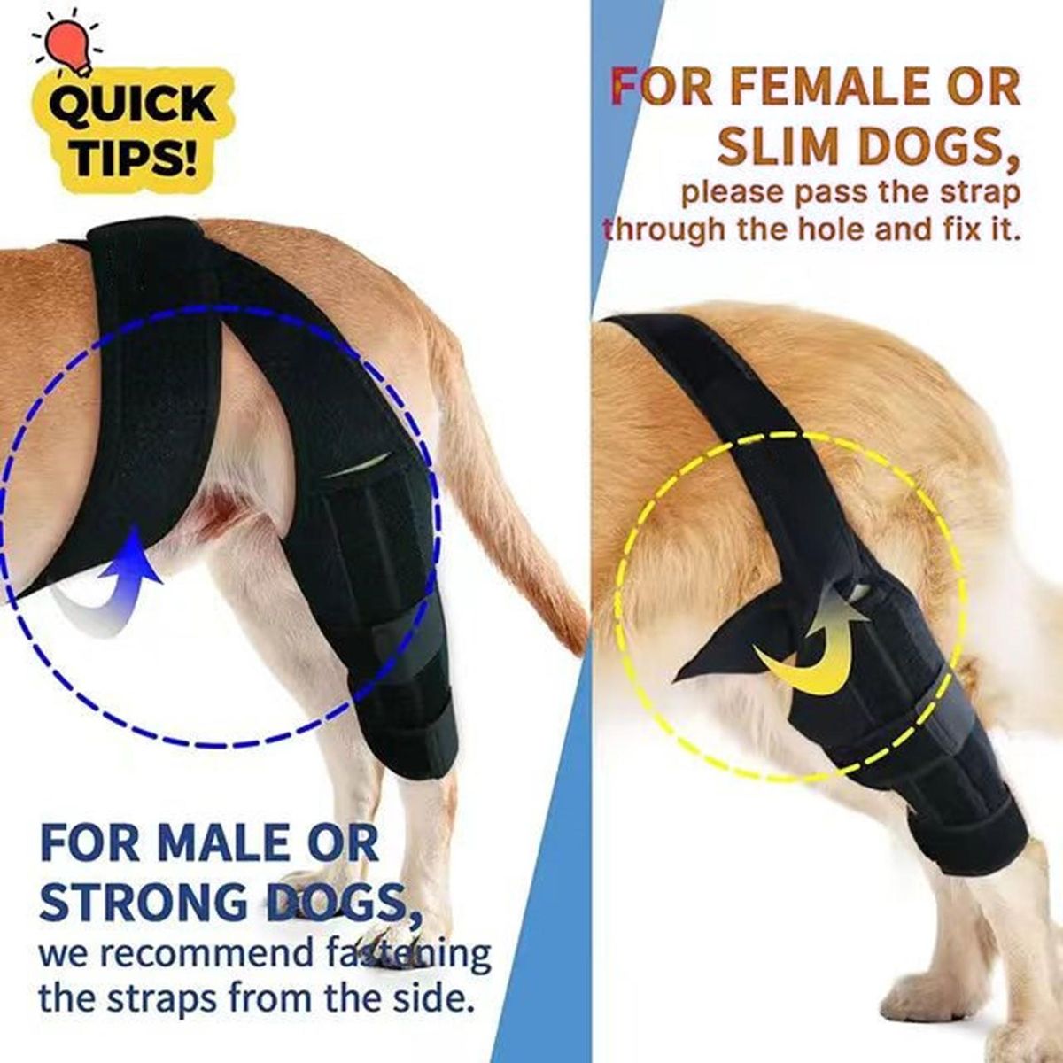 Pet Knee Pads Fixed Arthritis Ankle Recovering Pet Leg Sleeve Black