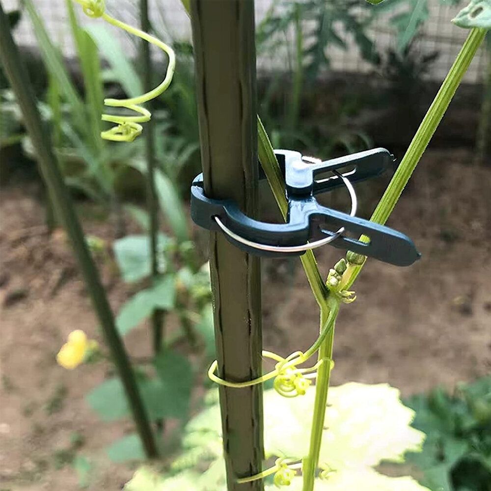 8Pcs Plant Support Clips Tomato Clips Gardening Spring Clips