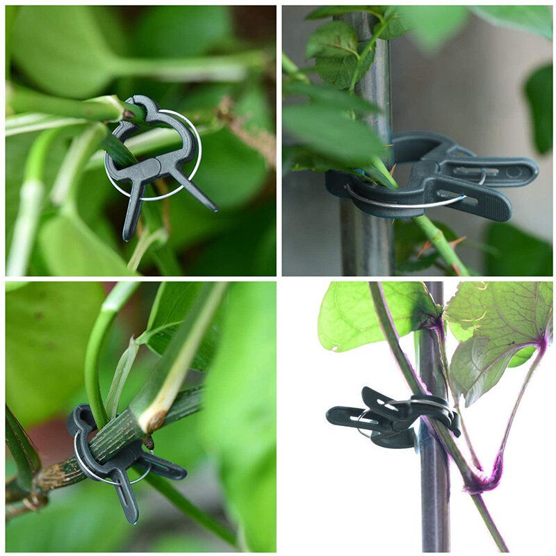 8Pcs Plant Support Clips Tomato Clips Gardening Spring Clips