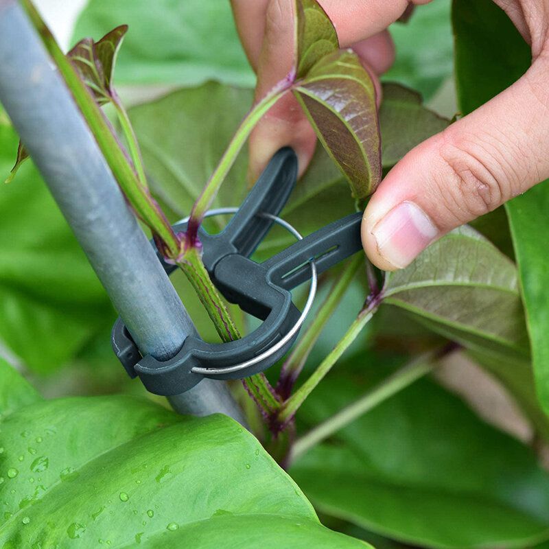8Pcs Plant Support Clips Tomato Clips Gardening Spring Clips