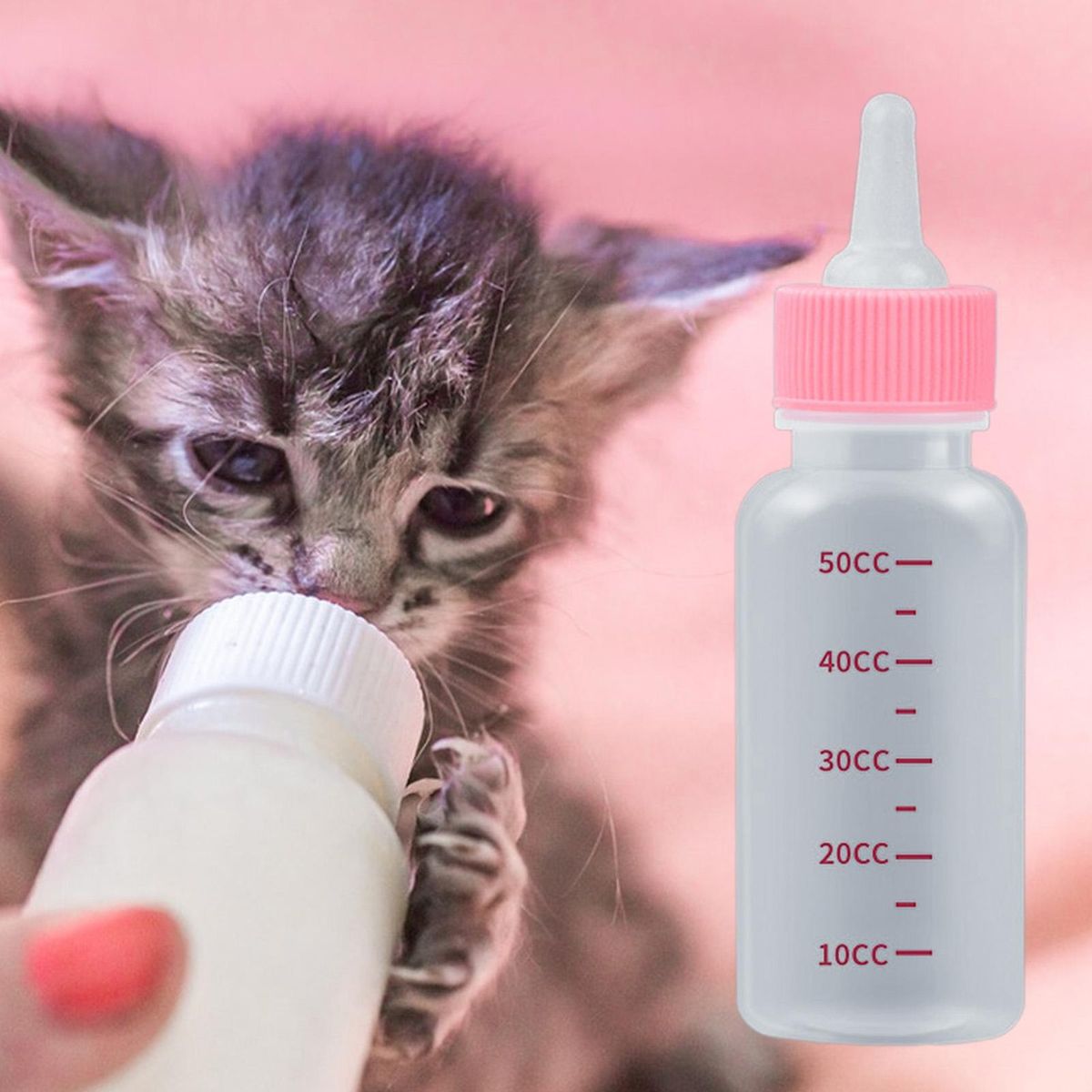 6Pcs Dog Milk Bottle Puppy Kitten Bottle Pet Drink Bottle Pink