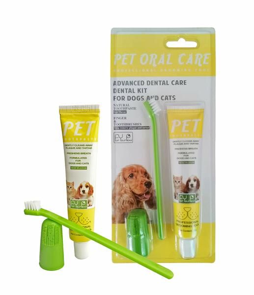 Pet Dog And Cat Dental Care Toothpaste And Brush