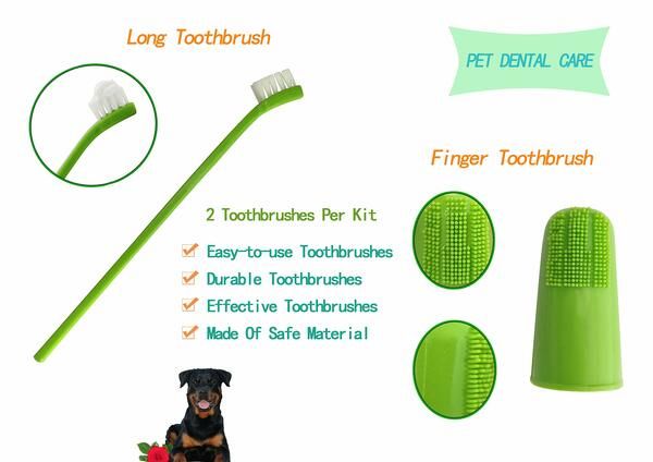 Pet Dog And Cat Dental Care Toothpaste And Brush