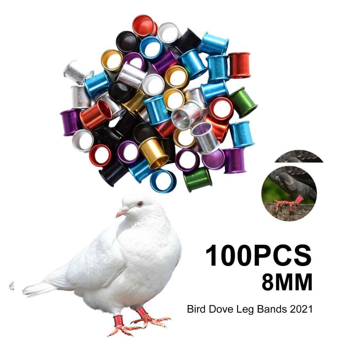 100Pcs 8mm Pigeon Foot Rings Dove Leg Bands Identification Multicolor