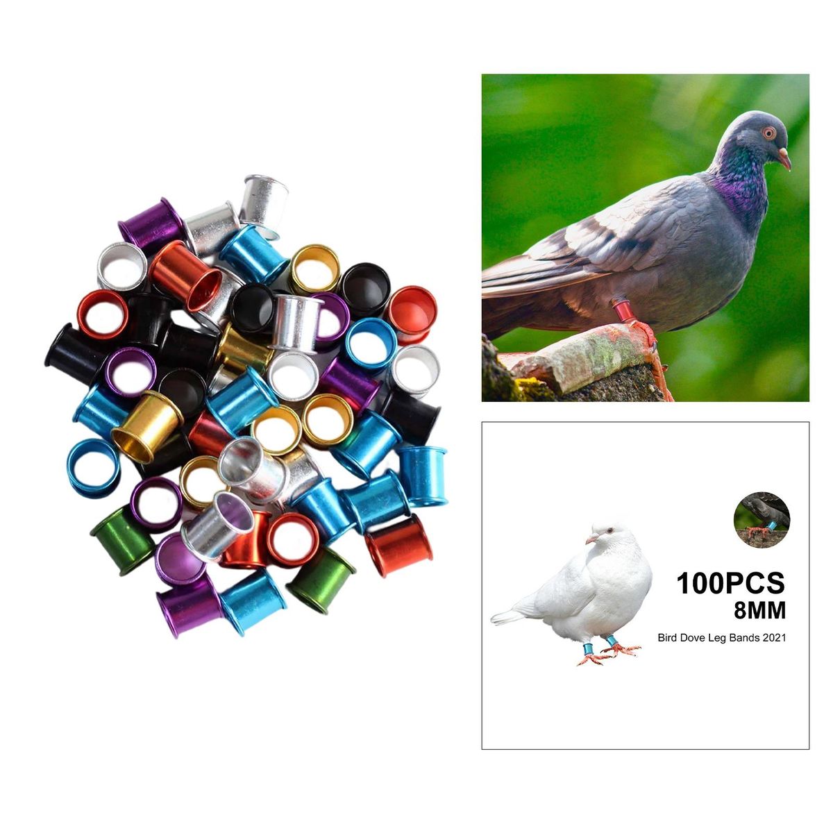 100Pcs 8mm Pigeon Foot Rings Dove Leg Bands Identification Multicolor