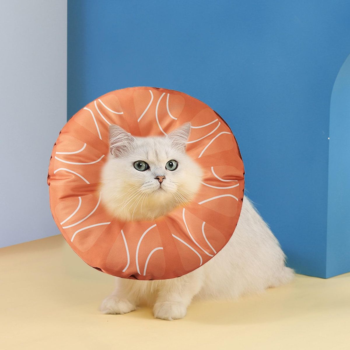 Pet Cervical Collar Watermelon Pattern Pet Dog Cat Sterilization Collar Orange