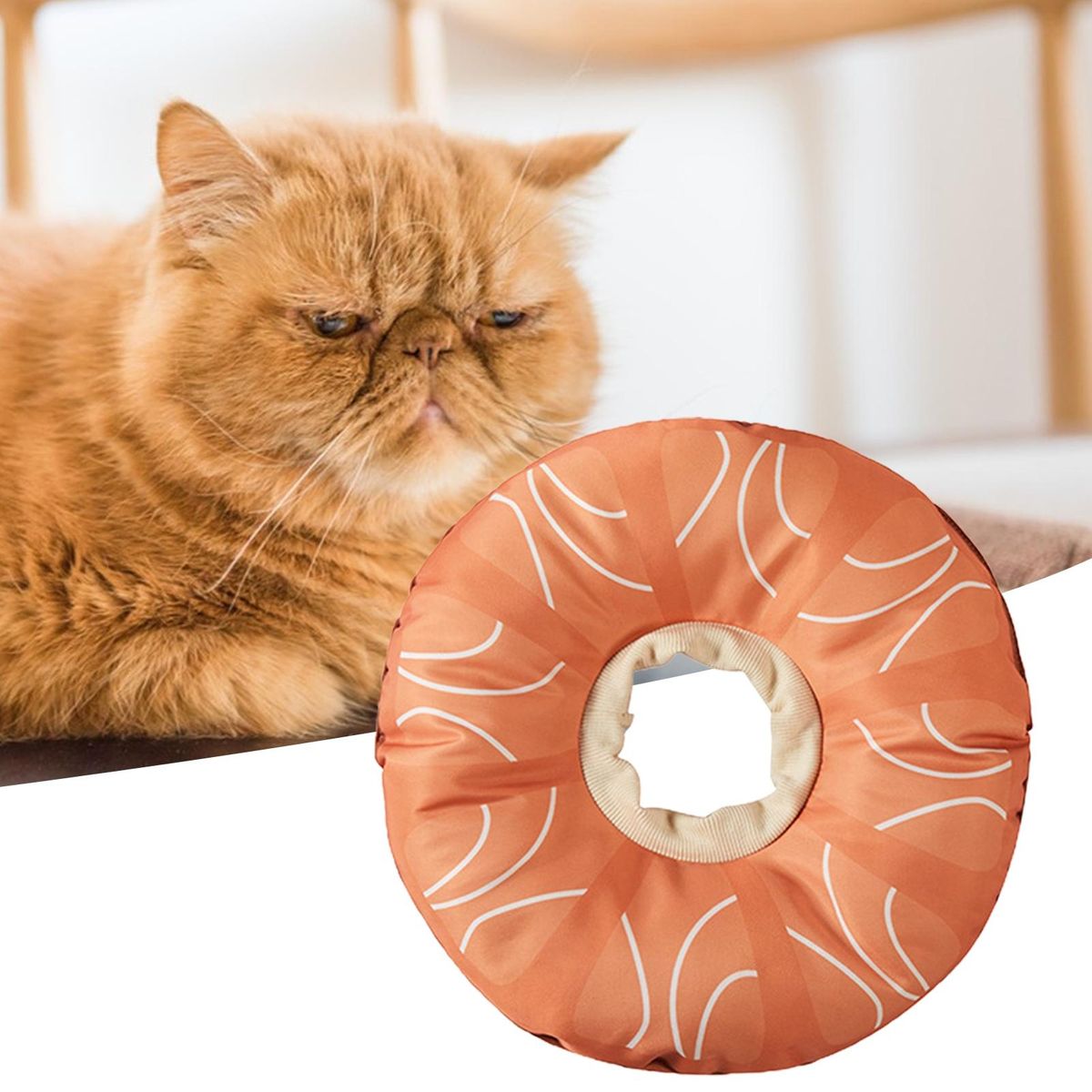 Pet Cervical Collar Watermelon Pattern Pet Dog Cat Sterilization Collar Orange