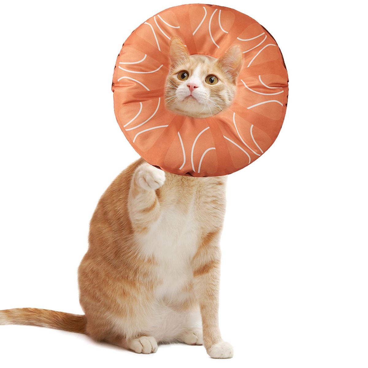 Pet Cervical Collar Watermelon Pattern Pet Dog Cat Sterilization Collar Orange