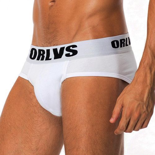 Mens Underwear Briefs Cotton Low Waist Underpanties For Men Male Panties