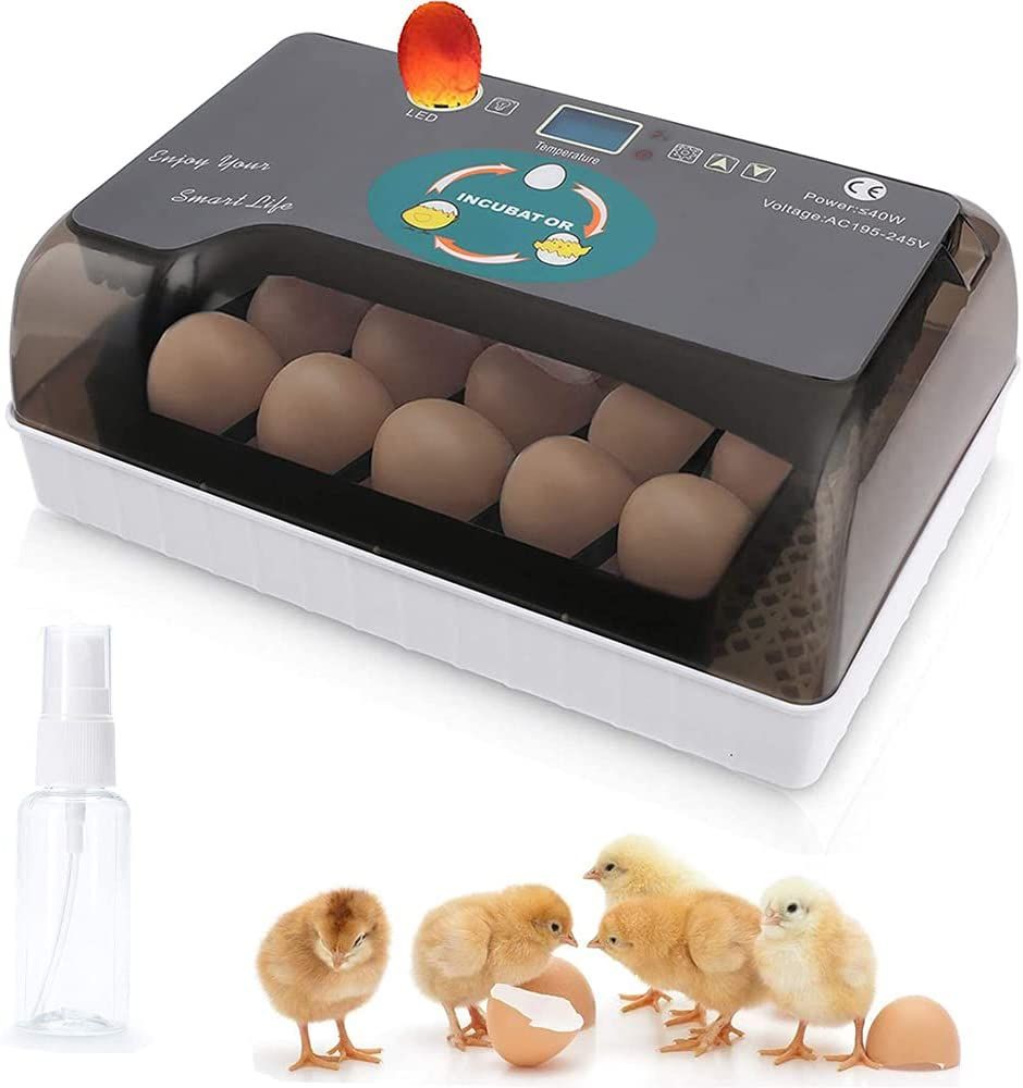 Fully Automatic Egg Incubator With Auto Turning(9-12 Eegs)