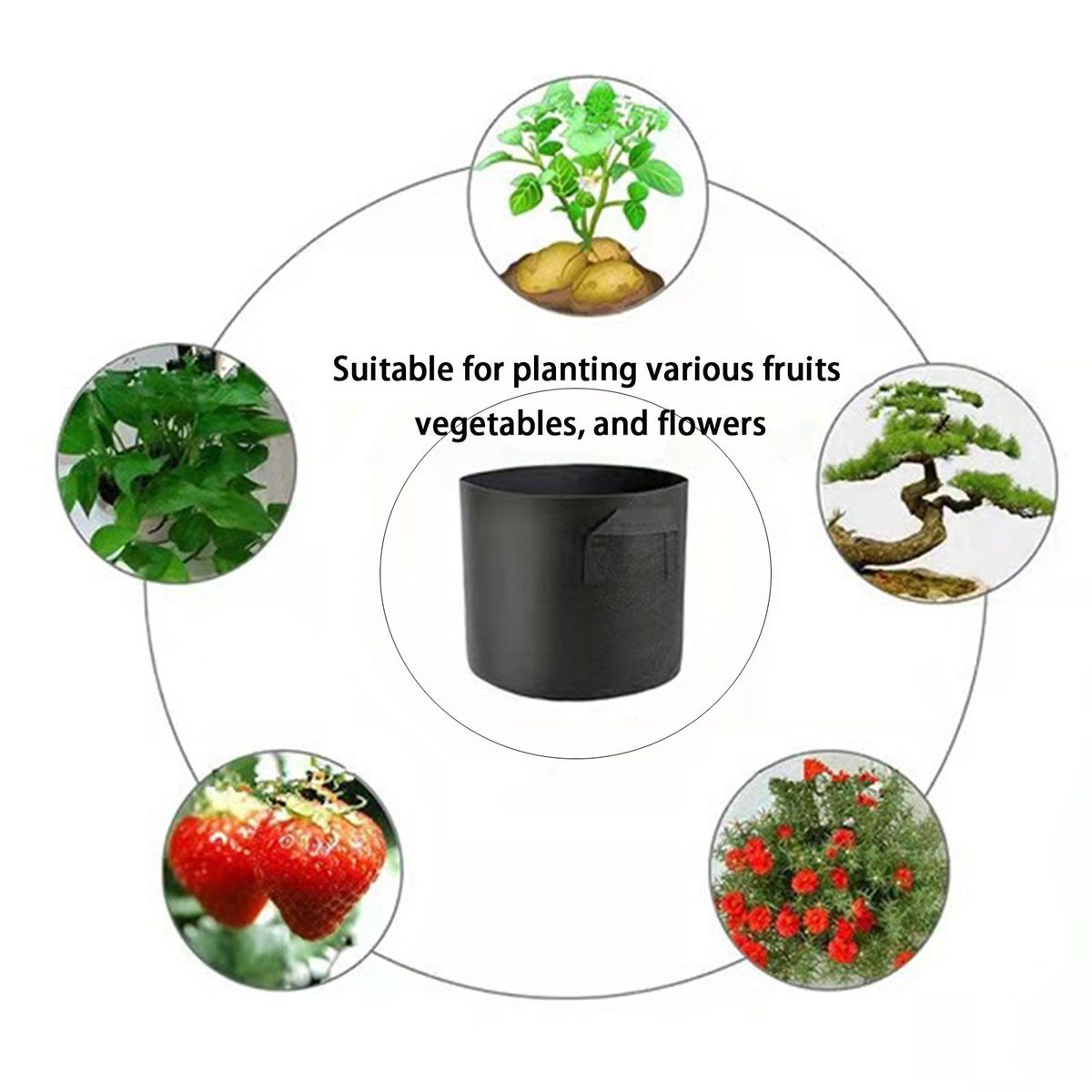 6Pcs Planter Bags Plant Vegetable Growth Bags Nursery Container Black