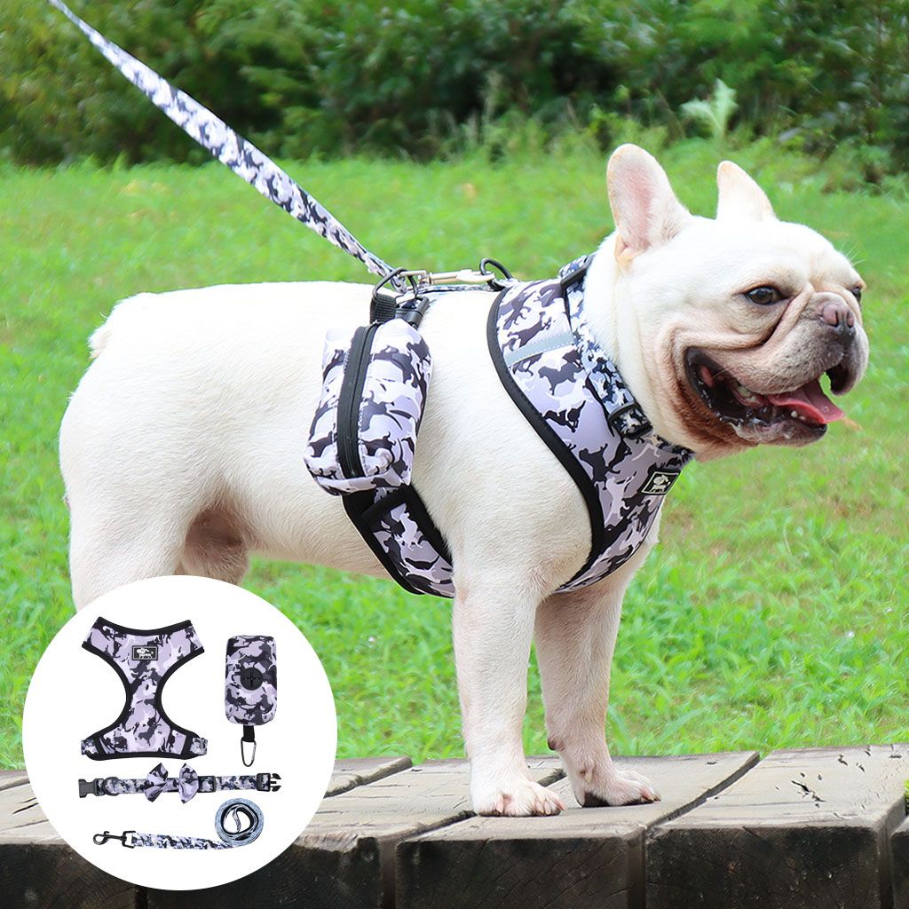 Dog Harness Set Breathable Bow-Knot Harnesses Vest For XL Gray