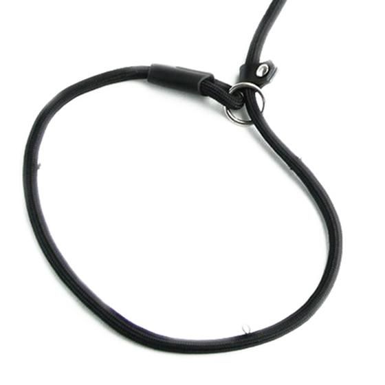 Nylon Rope Dog whisperer Style Slip Train Leash Lead
