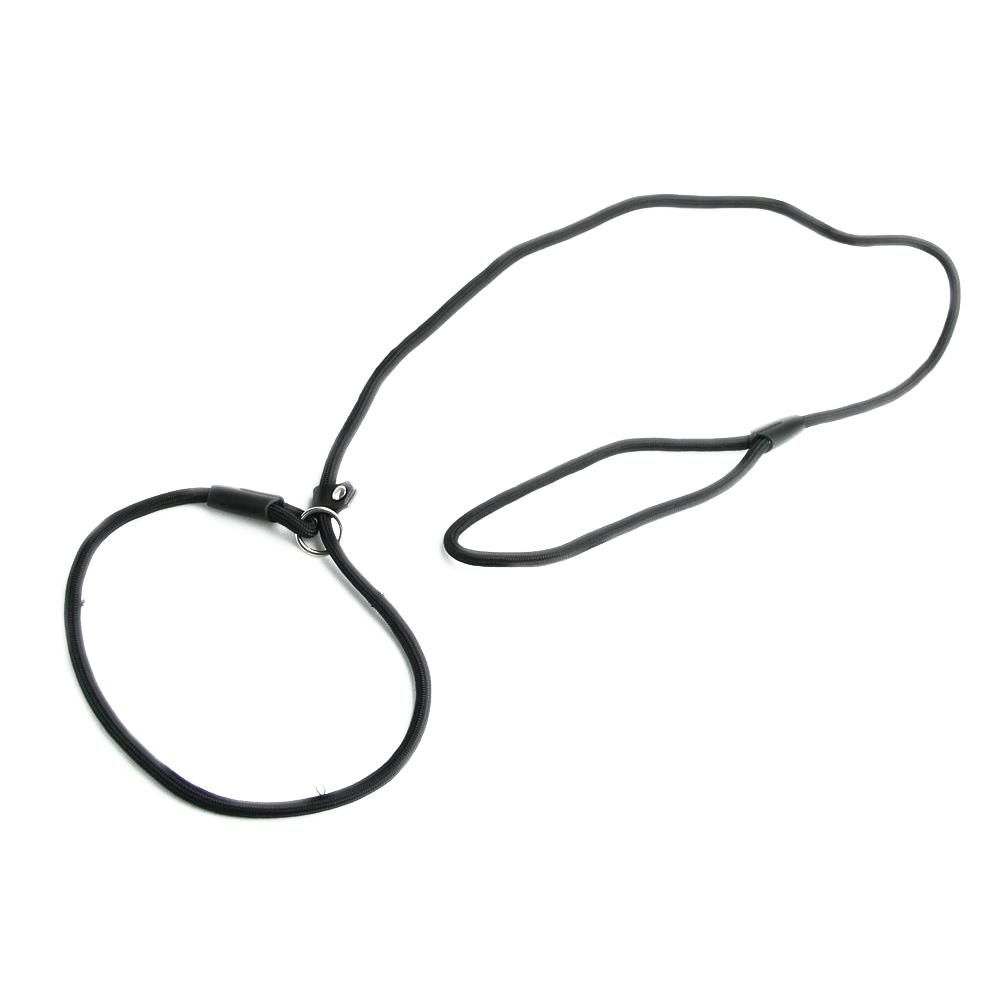 Nylon Rope Dog whisperer Style Slip Train Leash Lead