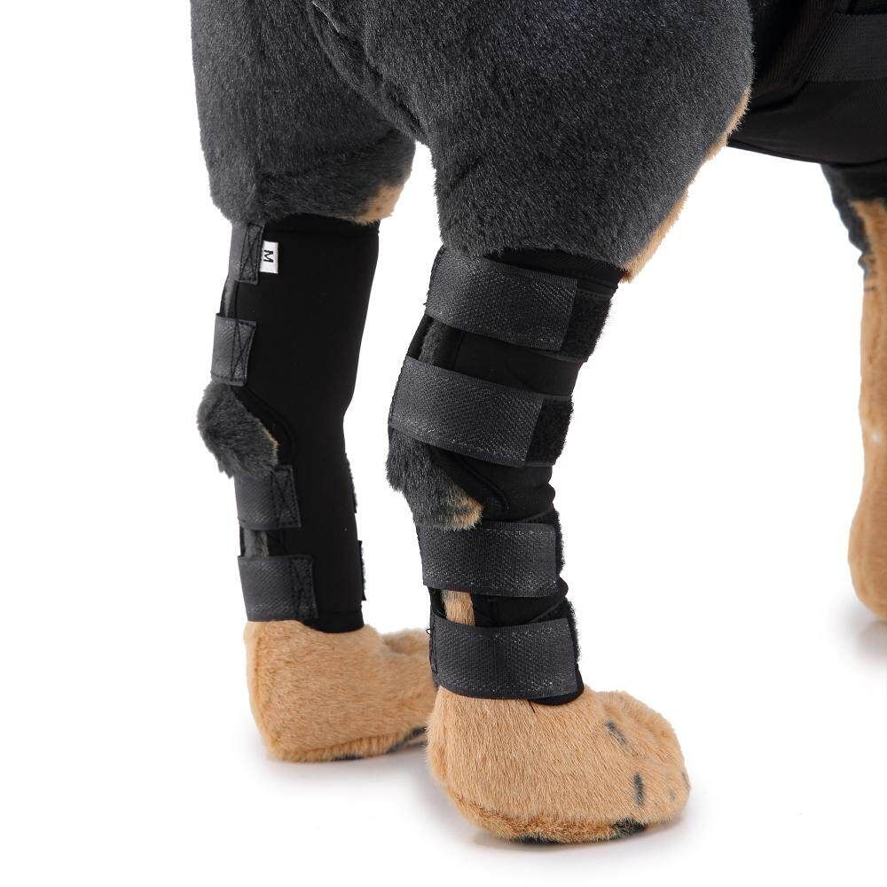 Supportive Dog Canine Rear Leg Hock M