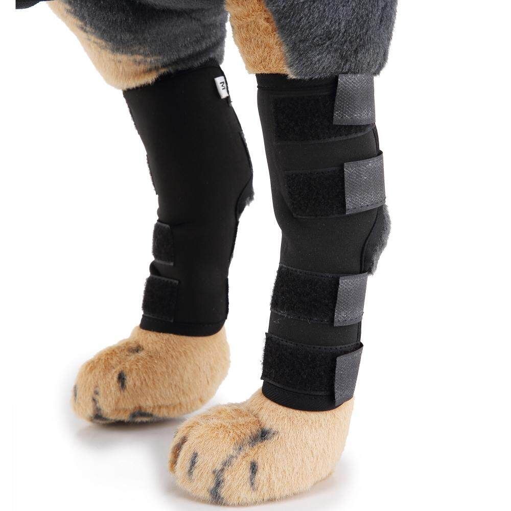 Supportive Dog Canine Rear Leg Hock L
