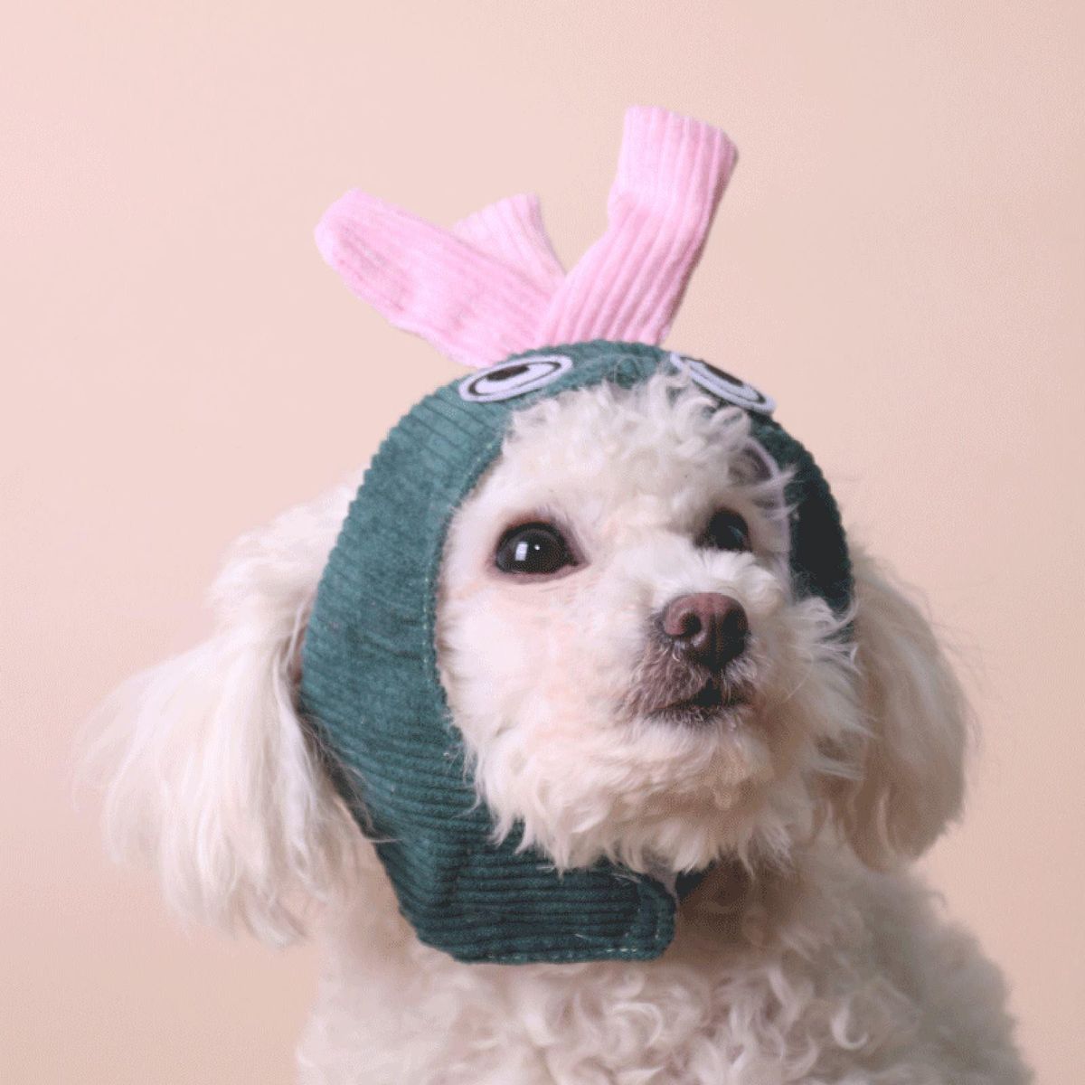 Pet Headgear Cute Puppy Dog Cat Headwear Green