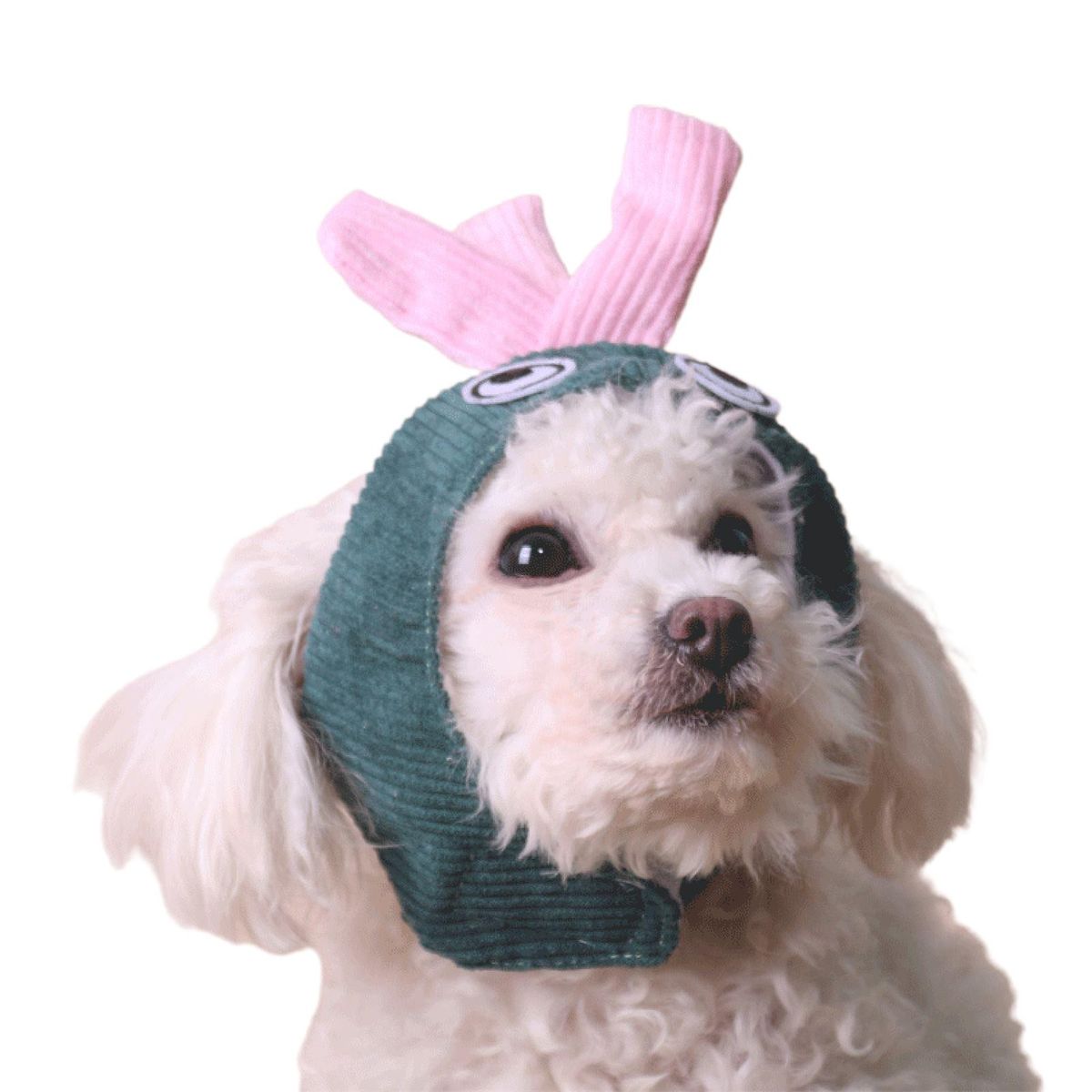 Pet Headgear Cute Puppy Dog Cat Headwear Green
