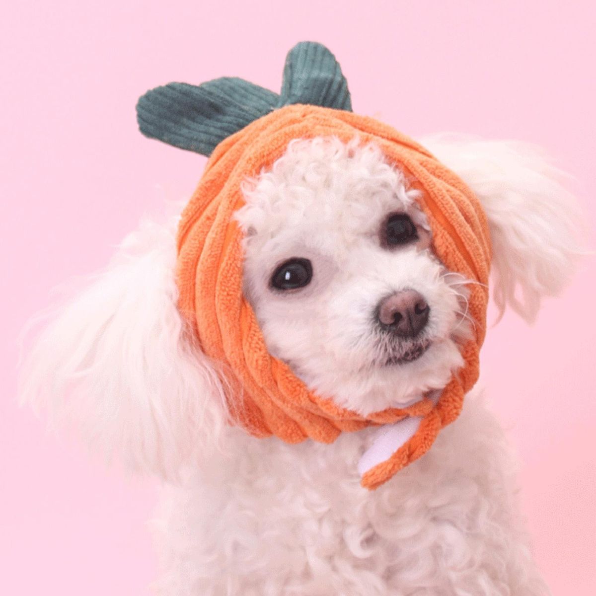 Pet Cap Cat Dog Cap Casual Headwear Pet Supplies Orange