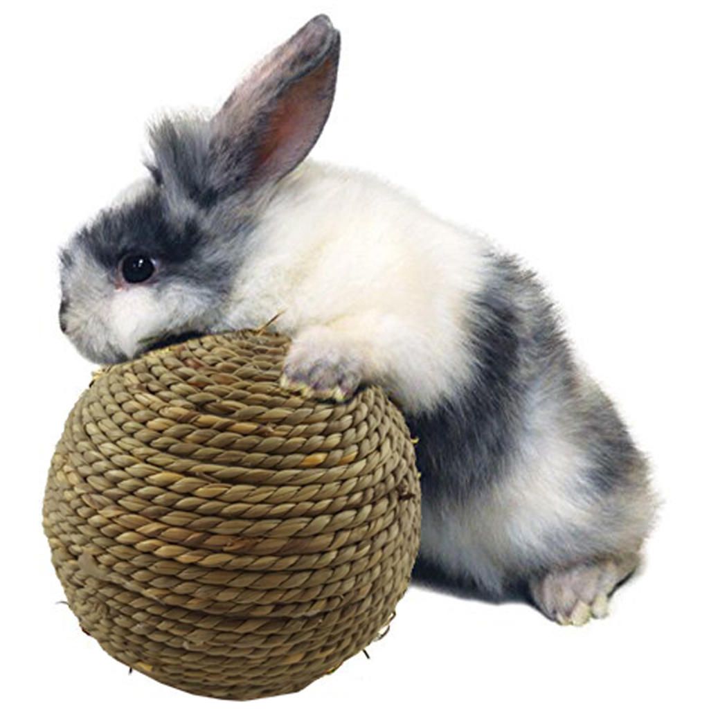 2 Pack Pet Chew Toy Natural Grass Ball For Rabbit Hamster