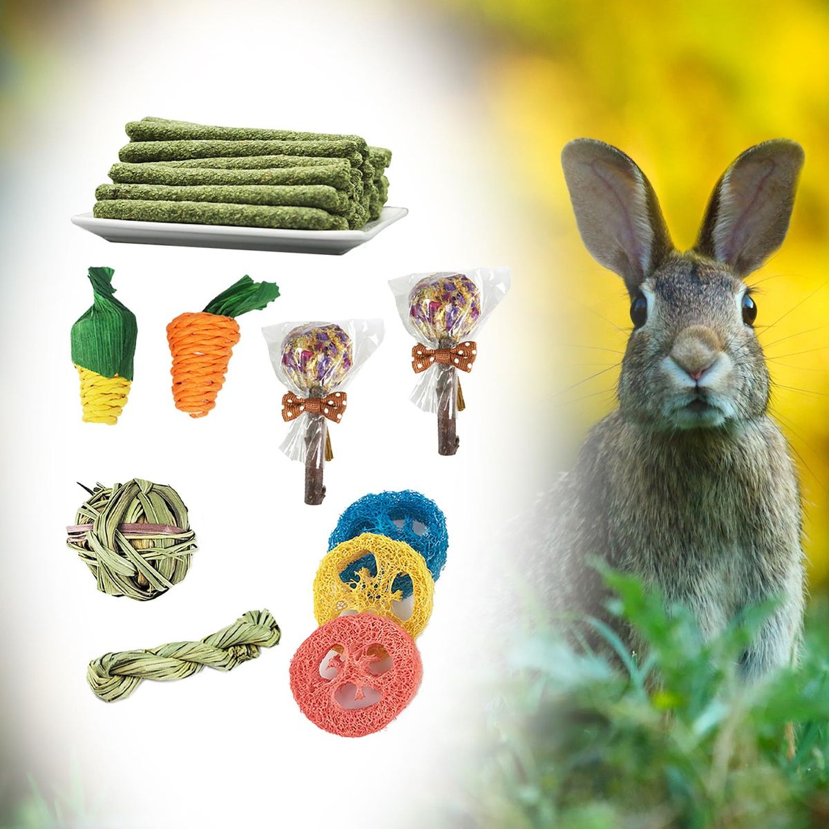 14Pcs Hamster Molar Toys Play Balls Rabbit Chew Toys Set For Rats